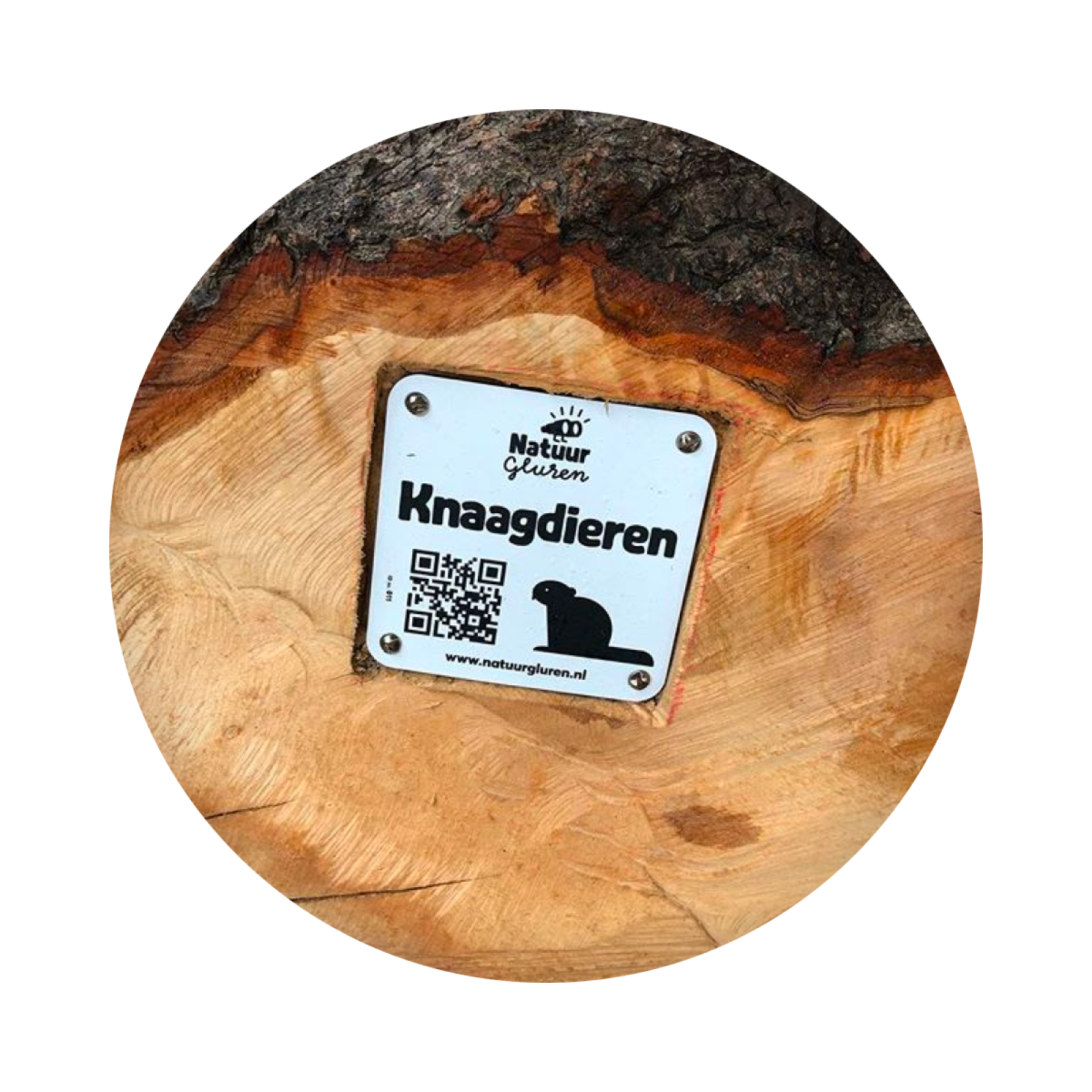 Natuurgluren - sfeerfoto
